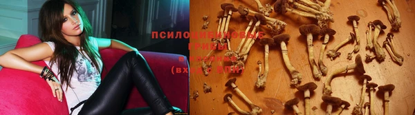 соль ск Новозыбков