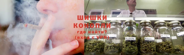 соль ск Новозыбков