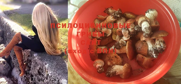хмурый Няндома