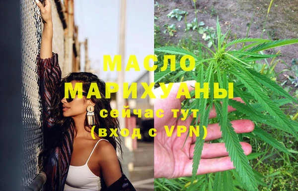 соль ск Новозыбков