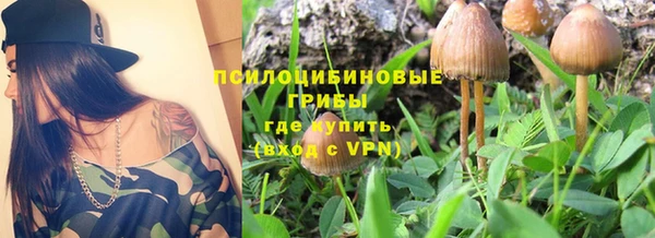 соль ск Новозыбков