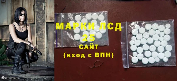 соль ск Новозыбков